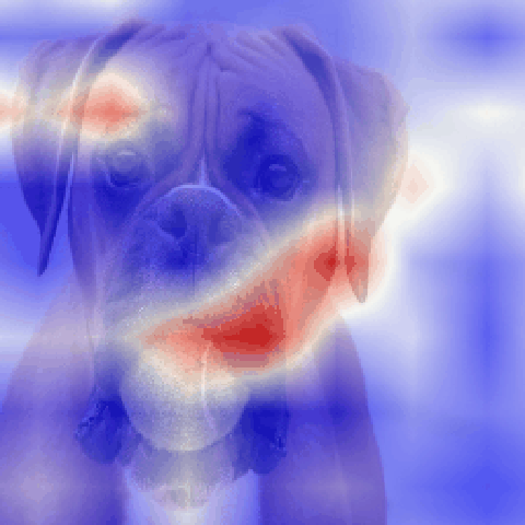 A Generic Visualization Approach for Convolutional Neural Networks