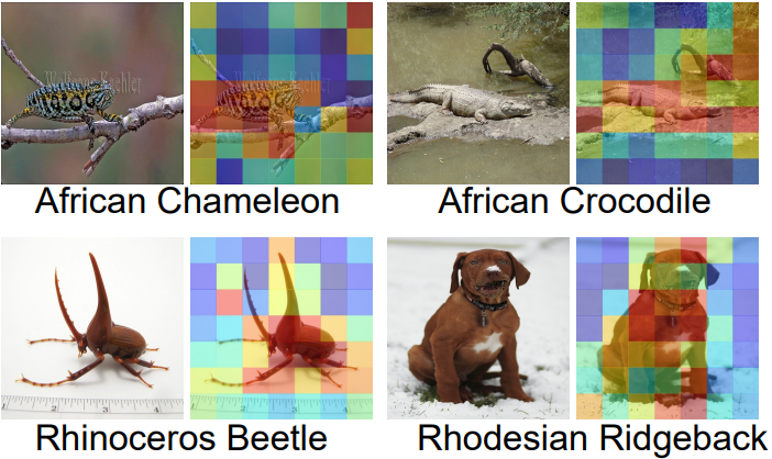 PatchGame: Learning to Signal Mid-level Patches in Referential Games