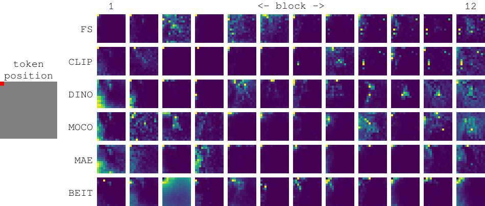 Teaching Matters: Investigating the Role of Supervision in Vision Transformers