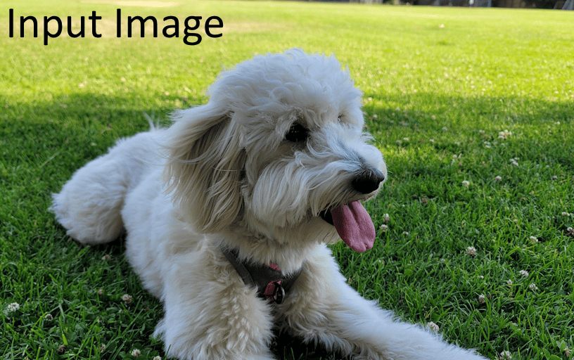 UPLiFT: Efficient Pixel-Dense Feature Upsampling with Local Attenders